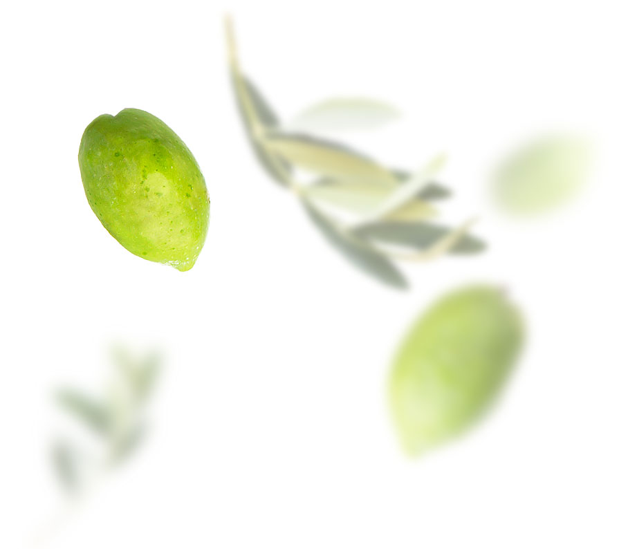 Seven Olea Seven Olea